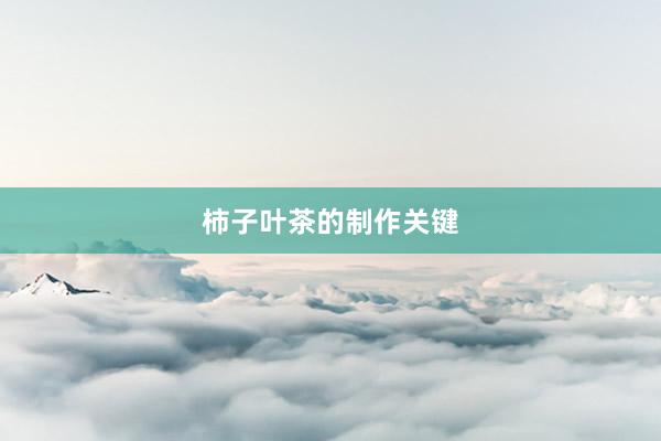 柿子叶茶的制作关键