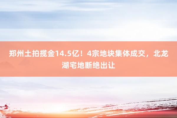 郑州土拍揽金14.5亿！4宗地块集体成交，北龙湖宅地断绝出让