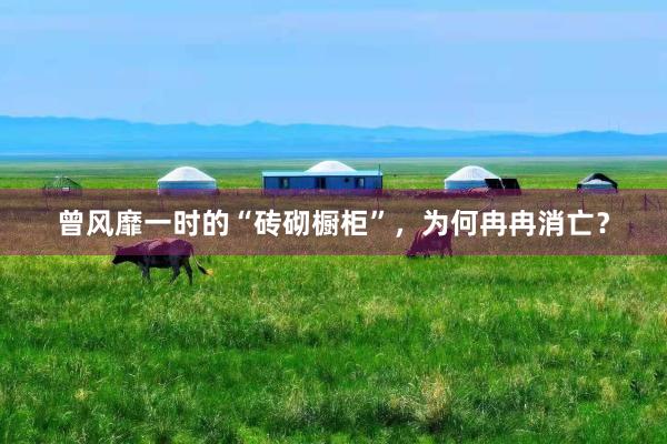 曾风靡一时的“砖砌橱柜”，为何冉冉消亡？