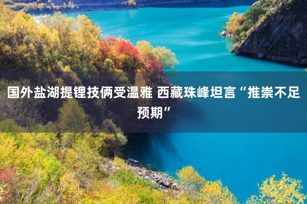 国外盐湖提锂技俩受温雅 西藏珠峰坦言“推崇不足预期”