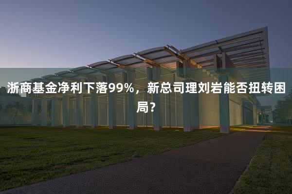 浙商基金净利下落99%，新总司理刘岩能否扭转困局？